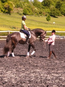 working with the rider on a Lusitano, Emma on Zimbral working with the rider on