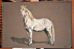 'Bubbles' Pastel Pencils 2010 'Bubbles' Pastel Pencils 2010