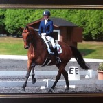 Joanna and Apollo - Sheepgate U 25 Championships where they won The Junior Team Championship Joanna and Apollo - Sheepgate U 25 Championships where they won The Junior Team Championship