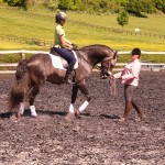 working with the rider on