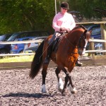 half pass with The Welsh