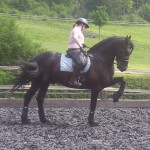 Euwe - Friesian