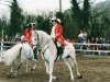 Pas de deux, Turville Display