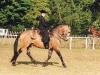 Angela Fois on Lusitano stallion Embucado at Royal Windsor